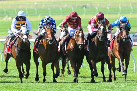 cf orr stakes results|Jacquinot's dramatic C.F Orr Stakes win on protest.